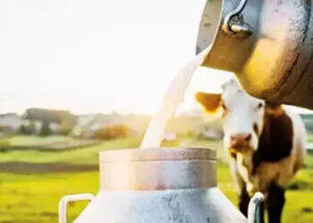 “Hayat pahalılığı süt fiyatına yansıtılsın”